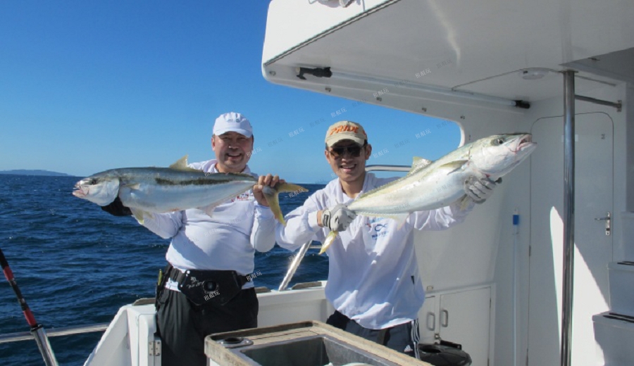 諾瓦帝52尺豪華游艇 諾瓦帝52尺豪華游艇